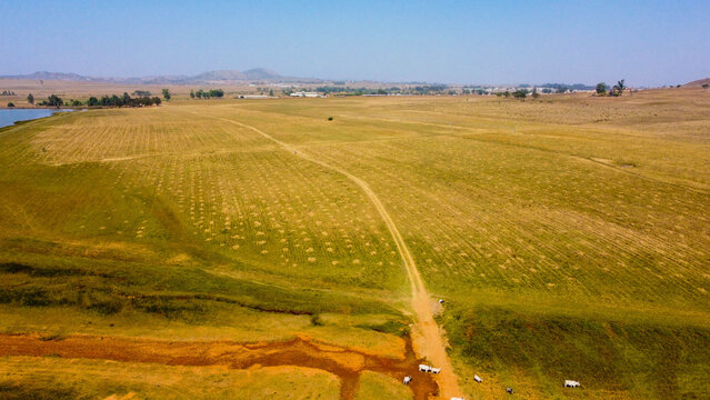 Aerial shot of lush green landscape