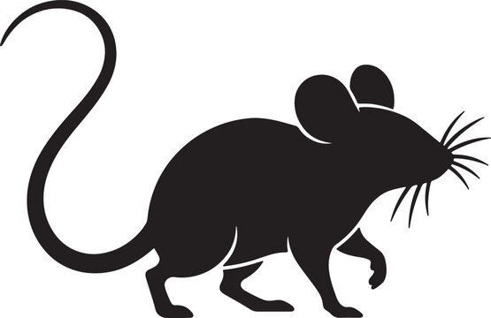 Also transparent background, black silhouette rat, standing on hind, legs, whiskers and, tail detailed