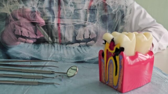 Watch how a sculptor creates a tooth model using colorful materials in a workshop setting