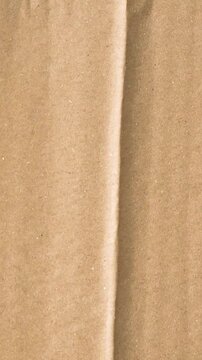 Textured brown paper background, with vertical fold crease