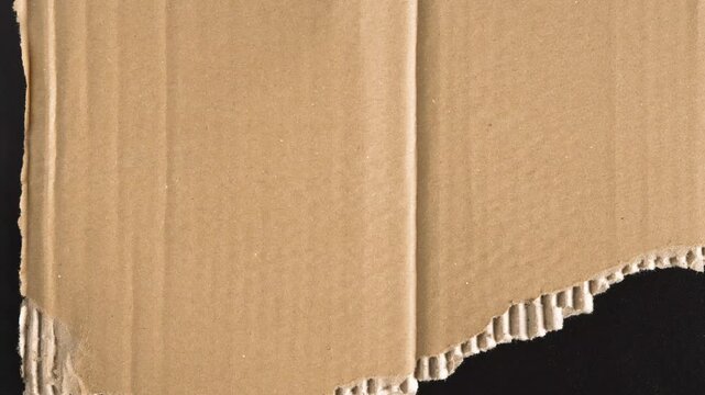 Torn cardboard texture background, with rough edges, and corrugated detail