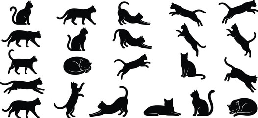Cat day collection diverse black silhouette illustrations of felines in various poses © JASIM