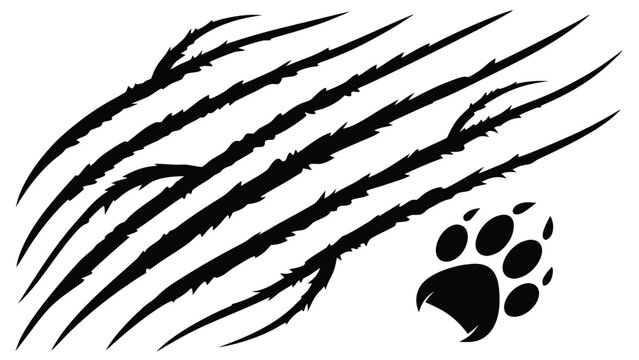 Claw marks and animal paw print