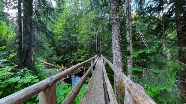 Crossing Over Waterfalls in Olympic National Park along the Sol Duc Trail