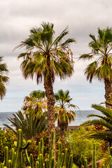 Fototapeta premium Paisaje en el municipio de Puerto de la Cruz, isla de Tenerife.