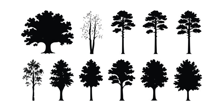 Set of black tree silhouettes in various shapes and sizes for design