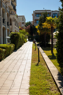 Paved walkway lined with hedges, lamp posts and palm trees leading between residential buildings on a sunny resort property