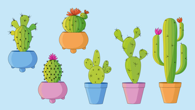 Simple vector cacti illustrations