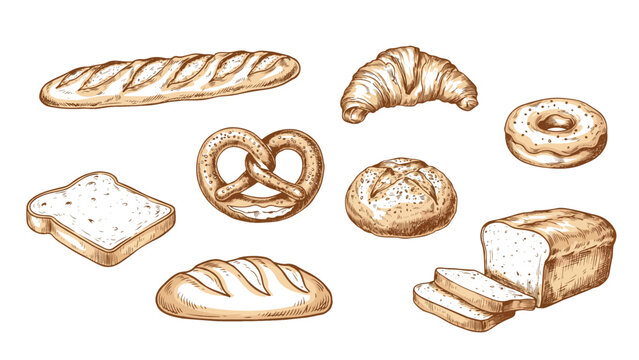 Hand drawn various types of bread on white background