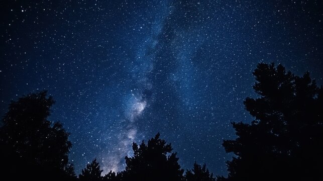 Milky Way galaxy arches brightly over a dark silhouetted forest canopy during a clear night.
