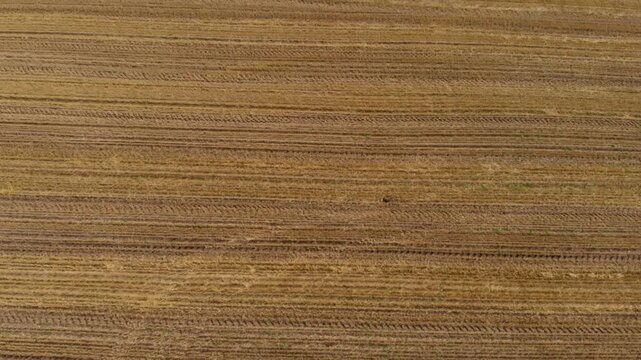 Close up view of the texture and grain of natural, stacked, pressed wood sheets. The surface features a warm, golden-brown hue with rough, horizontal lines and a rustic, organic pattern, ideal for use