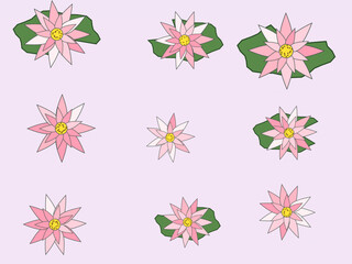 Obraz premium Lotus Bloom Water Lily Pattern Zen Background