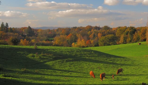 Village de Chantelauve&nbsp;; Limoges ; Haute-Vienne&nbsp;; Limousin&nbsp;; Nouvelle Aquitaine