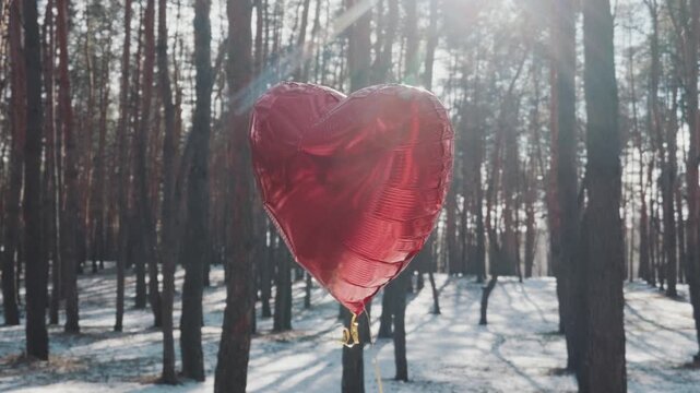 Red foil heart-shaped balloon floats gently in a pine forest covered in snow during winter. Bright sunlight shines through the trees creating flares. Concept implies romantic love.