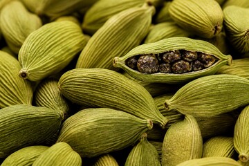 Fototapeta premium Open cardamom pod revealing seeds among whole pods