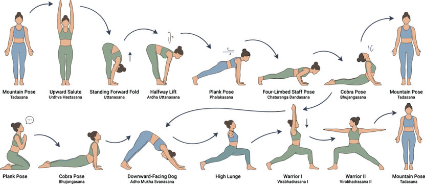 Yoga vinyasa flow sequence infographic vector illustration showing sun salutation and warrior poses for fitness wellness apps and training planner templates