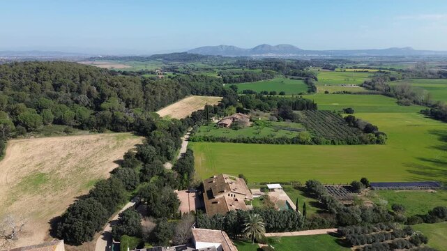 PERATALLADA