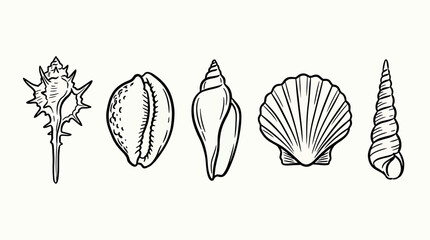 Set of hand drawn seashells, vector illustration of various sea shells, collection of marine mollusks, sketch style isolated on white background © SampaRani