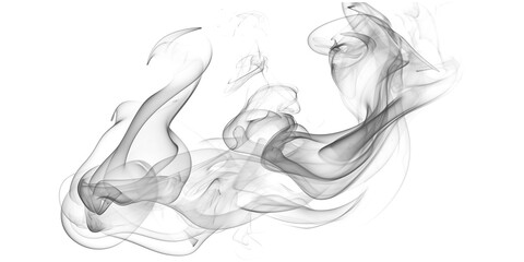 Fototapeta premium Dynamic Sketch of Running Horse in Motion with Flowing Mane and Tail Line Art