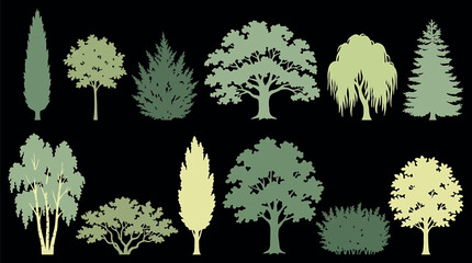 Set of various tree silhouettes, collection of different deciduous and coniferous trees, vector illustration © SampaRani