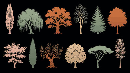 Set of various stylized trees silhouettes, collection of different deciduous and coniferous trees isolated on black background © SampaRani