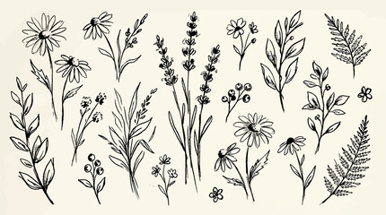 Set of hand drawn wildflowers, leaves, and berries botanical sketch elements for floral design © SampaRani