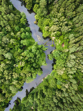 Kayaking on river in wildlife in summer, Poland