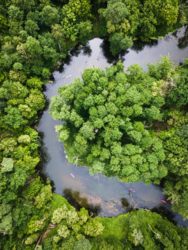 Top down view of kayaking on river in wildlife, Poland