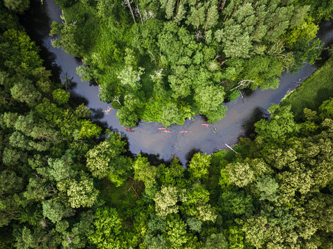 Aerial view of kayaking on river in wildlife, Poland