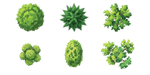 Set of six different green trees viewed from above for architectural landscape design plans ©  Designer