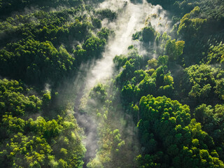 Naklejka premium Aerial view of mist in valley at sunrise in autumn.