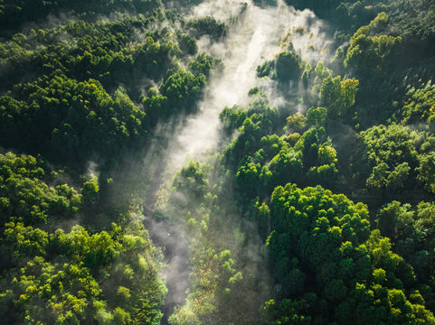 Aerial view of mist in valley at sunrise in autumn.