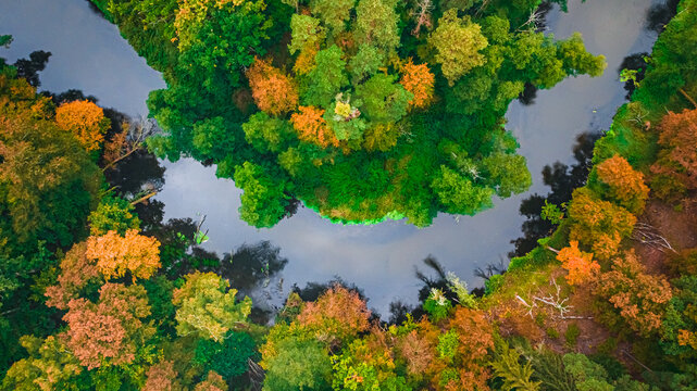 Amazing river and forest in fall. Aerial view of wildlife.