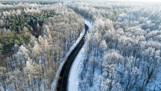 Winter asphalt road and frozen forest with rime, Poland.