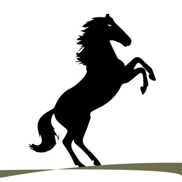 Hores vector design