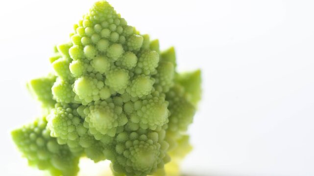 Fresh romanesco broccoli with vivid fractal spiral pattern on white background revealed by slow panning camera