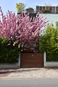 Residential House with Front Yard in a Suburb of Paris, France