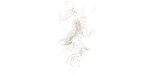 Fototapeta premium Wispy Smoke Plume Rising Transparent Background