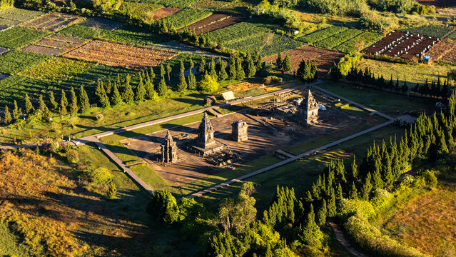 Aerial view of the ancient Arjuna Temple complex surrounded by lush green agricultural fields, rows of cypress trees, and stone pathways in Indonesia.