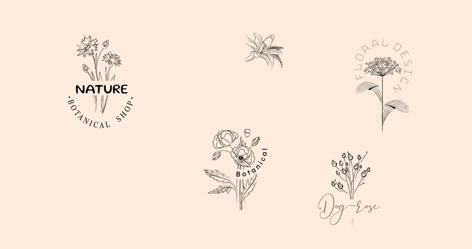 Set of elegant botanical logos. Hand drawn herbs, blooming flowers, leaves and plants in engraving style. Motion graphics with floral designs for branding. Outline animated cartoon
