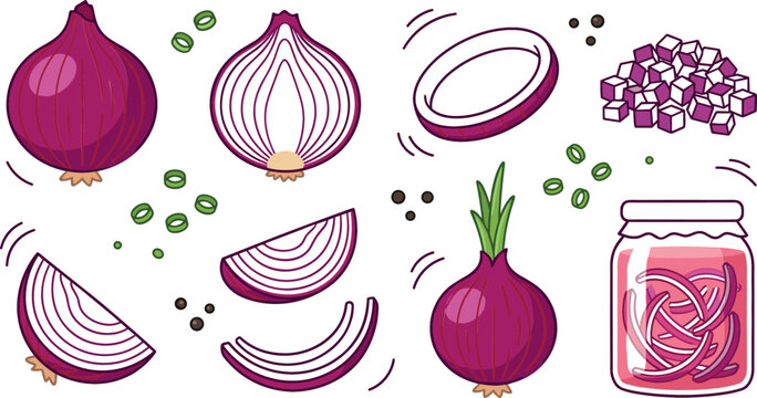 Fresh red onion vegetable vector sticker elements set featuring cartoon whole onions half cut cross section slices rings diced cubes and pickled glass jar