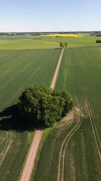 Aerial view of the straight road leading towards Bj&auml;rka-S&auml;by New Castle (Nya Slottet) in Sweden. Cinematic drone perspective of a rural road and historic European architecture.