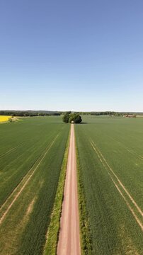 Aerial view of the straight road leading towards Bj&auml;rka-S&auml;by New Castle (Nya Slottet) in Sweden. Cinematic drone perspective of a rural road and historic European architecture.
