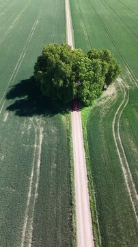 Aerial view of the straight road leading towards Bj&auml;rka-S&auml;by New Castle (Nya Slottet) in Sweden. Cinematic drone perspective of a rural road and historic European architecture.