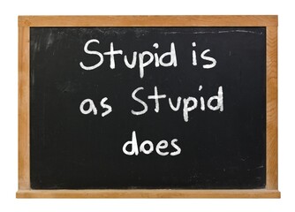 Fototapeta premium Stupid is as stupid does written in white chalk on a black chalkboard isolated on white