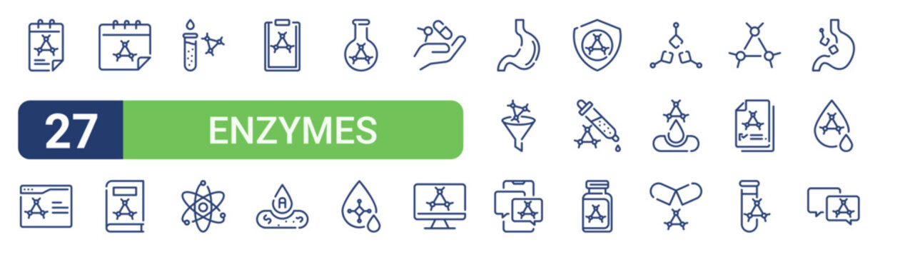 Set of 27 linear Enzymes icons for web projects, mobile apps and interface menus. Vector icon set including web browser, analysis, flask, stoh, bottle and chat.