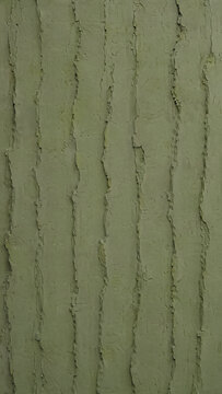 Vertical closeup detail of green cactus bark surface texture