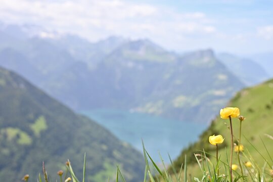 Lake View from the Ridge