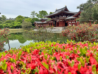 Naklejka premium The Phoenix hall of Byodo-in Temple with beautiful foliage in spring in Uji, Japan