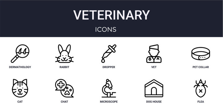 Set of 10 linear Veterinary icons for interface projects, presentations and web graphics. Outline symbol collection with rabbit, vet, cat, microscope and Dog house.